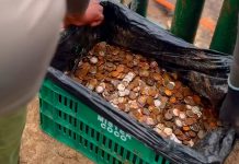 Sorpresa en las Cataratas del Iguazú: encontraron 400 kilos de monedas
