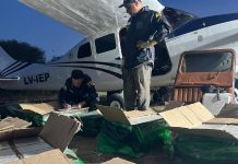 Video: así revelaron la patente trucha de la avioneta boliviana que llevó 442 kilos de cocaína a Santa Fe