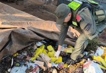 Gendarmería incautó más de 24 kilos de marihuana en una planta de residuos de Misiones