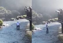 Insólito episodio: un turista se tiró al agua en medio de las Cataratas del Iguazú para recuperar su celular