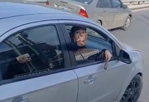 “¿Qué te pasa gato?”: un conductor agredió a un colectivero durante una violenta discusión de tránsito