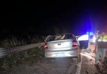 Tragedia en Tucumán: murieron cuatro personas en un choque entre un camión cañero y un auto en la ruta 9