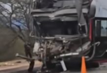 Un colectivo de larga distancia chocó contra un camión en una ruta de Salta: un muerto y al menos 24 heridos
