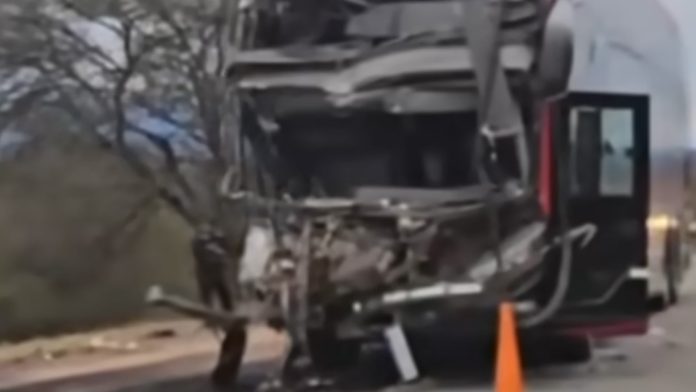 Un colectivo de larga distancia chocó contra un camión en una ruta de Salta: un muerto y al menos 24 heridos