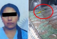 Una médica de Gendarmería y una cosmetóloga fueron detenidas con 70 kilos de cocaína: el insólito motivo por el que las descubrieron