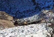 Brutal accidente en Neuquén: un camión perdió el control, cayó 300 metros por un acantilado y el conductor murió