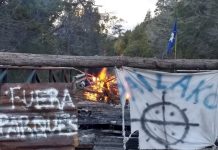Chubut: preocupación por el sobreseimiento de mapuches que habían sido condenados por usurpar tierras en un Parque Nacional