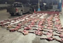 Decomisaron más de 190 kilos cortes de carne de especies protegidas durante un control policial en Santa Cruz