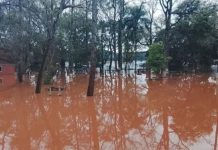 Evacuaciones y cierre de la Garganta del Diablo: Misiones activó un plan de emergencia por la crecida del río Uruguay