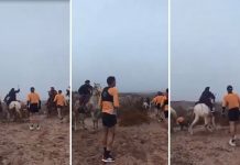 “Fue predeterminado”: qué dijo la organización del evento donde un grupo de jinetes agredió a unos corredores