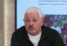 Tití Fernández elogió el trabajo de la Selección y explicó por qué decidió no viajar al Mundial