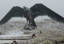 Videos: el frío polar hizo nevar en la provincia de Buenos Aires y en varias zonas del interior del país