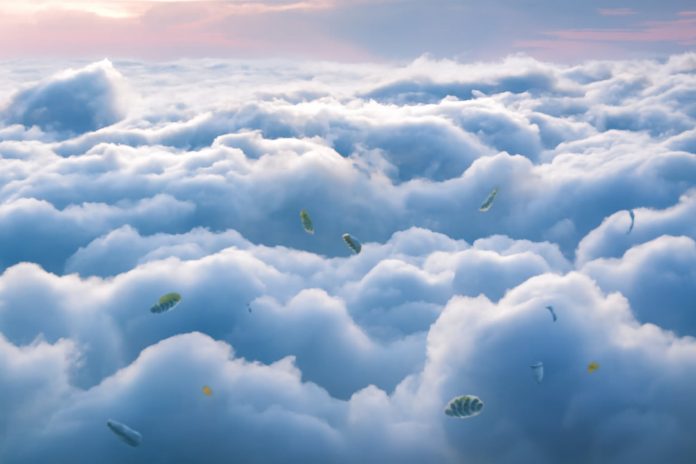 Alerta por tormentas en 12 provincias y temperaturas agradables en el AMBA: el pronóstico del tiempo para el inicio de la semana