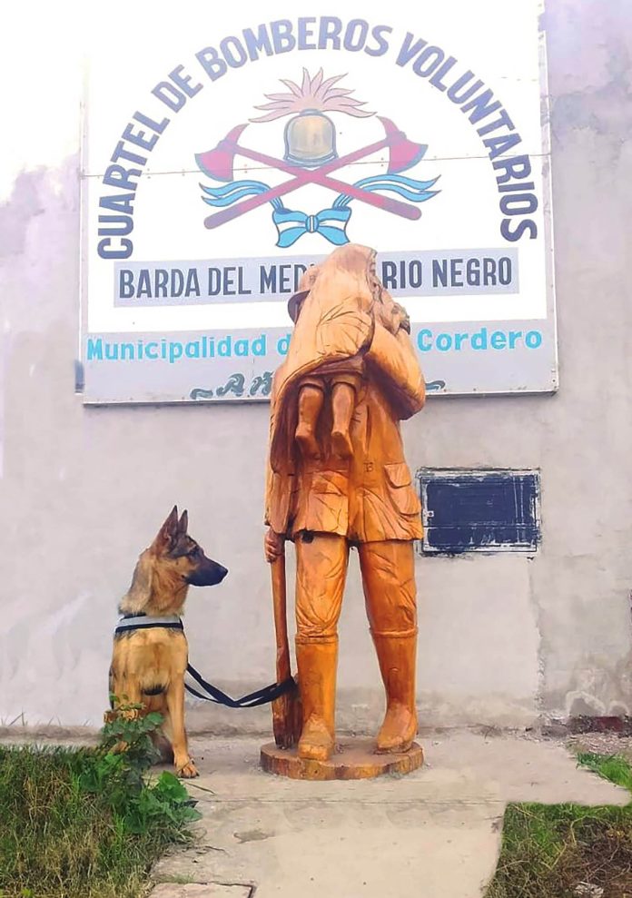 Condenaron a tres organizadores de una rifa solidaria para los bomberos: habían cometido fraude