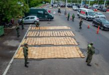 Detuvieron en Chaco a un camionero que llevaba una carga de más de 1000 kilos de marihuana