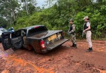 Hallaron más de una tonelada de marihuana en Misiones en una camioneta que había sido robada en La Matanza