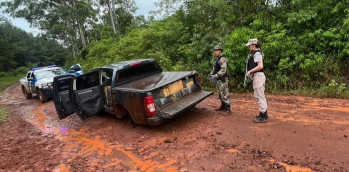 Hallaron más de una tonelada de marihuana en Misiones en una camioneta que había sido robada en La Matanza