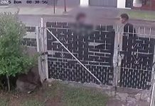 Iban a robarle, tiró su celular a la casa de un vecino y se enfrentó con el ladrón: “A mí no me vas a asaltar”