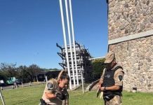 Impactante hallazgo en Córdoba: encontraron una boa constrictora de 1 metro y medio