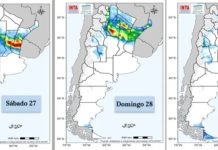 Inundaciones en Corrientes: cayeron casi 500 mililitros de agua en una semana y ya hay más de 400 evacuados