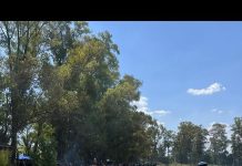 Los videos y fotos de la despedida del año de La Doce, la barra de Boca Juniors: la ostentación de las banderas robadas