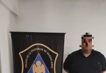 Rescataron más de 200 especies en peligro de extinción que eran vendidas por redes sociales: un detenido