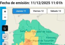 Se generó un remolino de viento en Santa Fe en medio de un fuerte temporal que impacta en la región