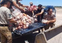 Secuestraron 860 kilos de carne en mal estado en dos carnicerías de Mendoza