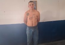 Siguen sin poder identificar dos perfiles de ADN del caso del asesino serial de Jujuy: le extendieron la preventiva