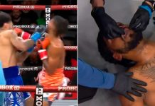 “Un final devastador”: el impactante KO en una pelea de boxeo que fue catalogado como el mejor del año