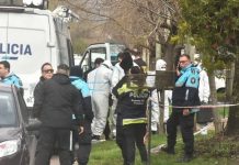 Un vecino de La Plata encontró huesos humanos en el patio de su casa mientras cortaba el pasto