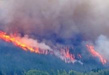 A la espera de las lluvias, se intensificaron los incendios en Chubut y estiman que hay 30 mil hectáreas quemadas
