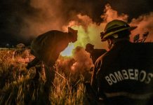 Alerta extrema por el riesgo de incendios forestales en Misiones debido a las altas temperaturas