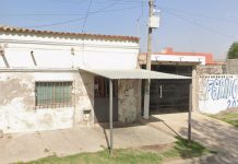 Allanaron una carnicería en Salta que fue denunciada por vender carne de gato e imputaron a la dueña