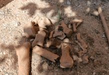 Analizan los restos óseos hallados en una casa de La Rioja para determinar su origen