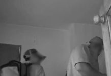 Aprovecharon que los inquilinos estaban de vacaciones y robaron dos departamentos en Córdoba