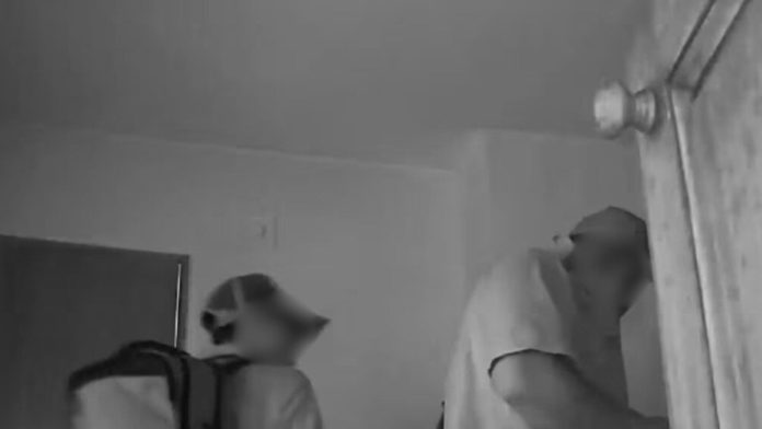 Aprovecharon que los inquilinos estaban de vacaciones y robaron dos departamentos en Córdoba