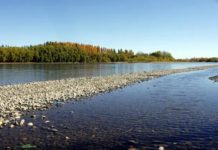Buscan a un adolescente que se arrojó al río Limay para refrescarse y desapareció