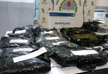 Cayó “La banda de Nati”, una organización narco liderada por una mujer con pedido de captura internacional