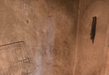 Desmantelaron un criadero ilegal en La Plata: rescataron 13 animales en estado de abandono