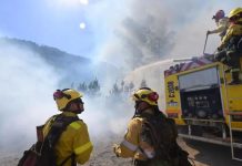Drama en Chubut: las llamas arrasaron 40 mil hectáreas y brigadistas de Chile se suman a combatir el fuego
