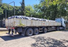 Incautaron un camión que transportaba más de 20 toneladas de un químico utilizado para elaborar cocaína