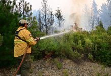 Incendios en Chubut: extinguieron 22 de los 32 focos, pero el fuego sigue activo y hay casi 12 mil hectáreas afectadas