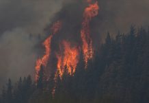 Incendios en Chubut: siguen evacuando a familias y las condiciones meteorológicas complican a los brigadistas