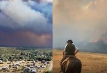 Incendios en Chubut: un foco en la zona de Cholila obligó a cerrar la Ruta Provincial 71