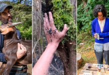 La pareja de artistas que perdió cinco casas y cuatro hectáreas de bosque nativo en los incendios de Epuyén: “No nos quedó nada”