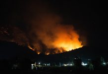 Las fotos más impactantes del incendio en Chubut: escenas y paisajes devastados por las llamas
