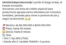 Los incendios en La Pampa ya consumieron casi 170 mil hectáreas