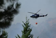 Más de 2000 hectáreas quemadas y despliegue de tres provincias: cómo sigue la lucha contra los incendios en la Patagonia