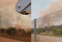 Se registraron incendios de pastizales en Berisso y Ezeiza: los bomberos lograron controlar las llamas